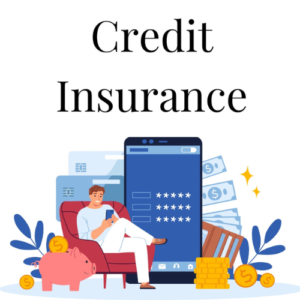 Credit Insurance